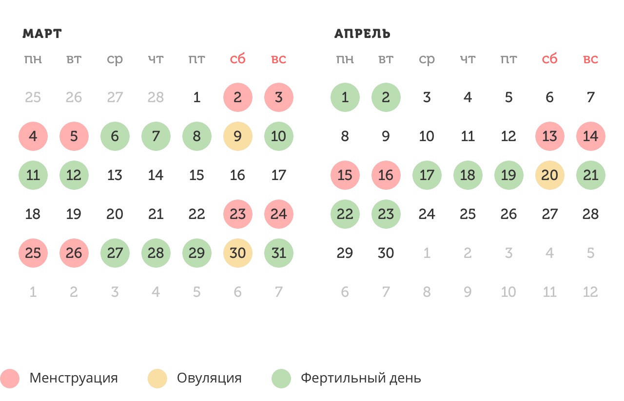 Калькулятор овуляции