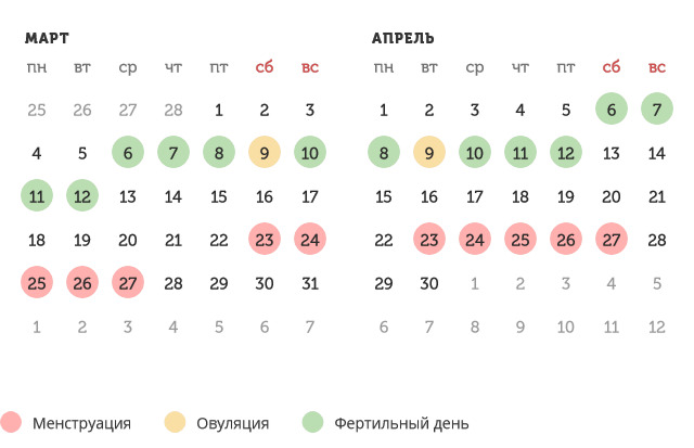 Калькулятор овуляции