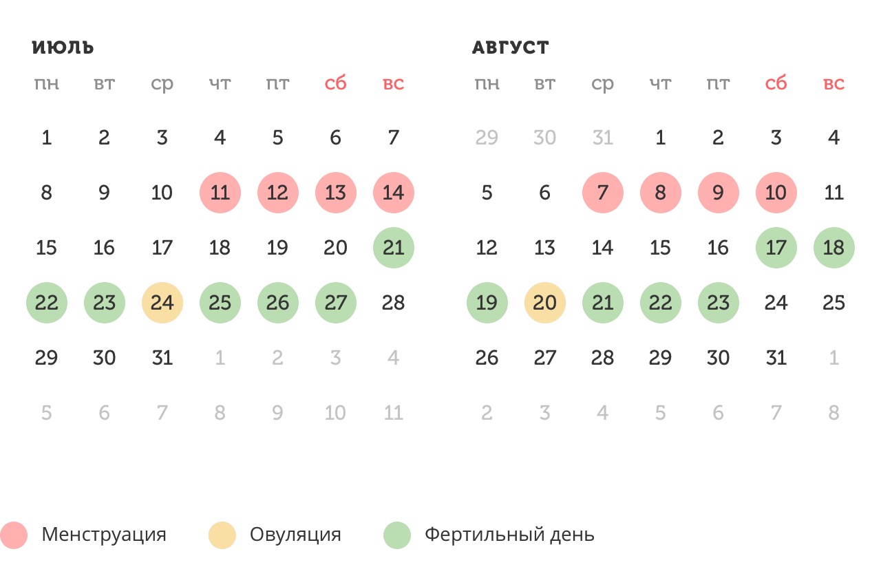 Калькулятор овуляции