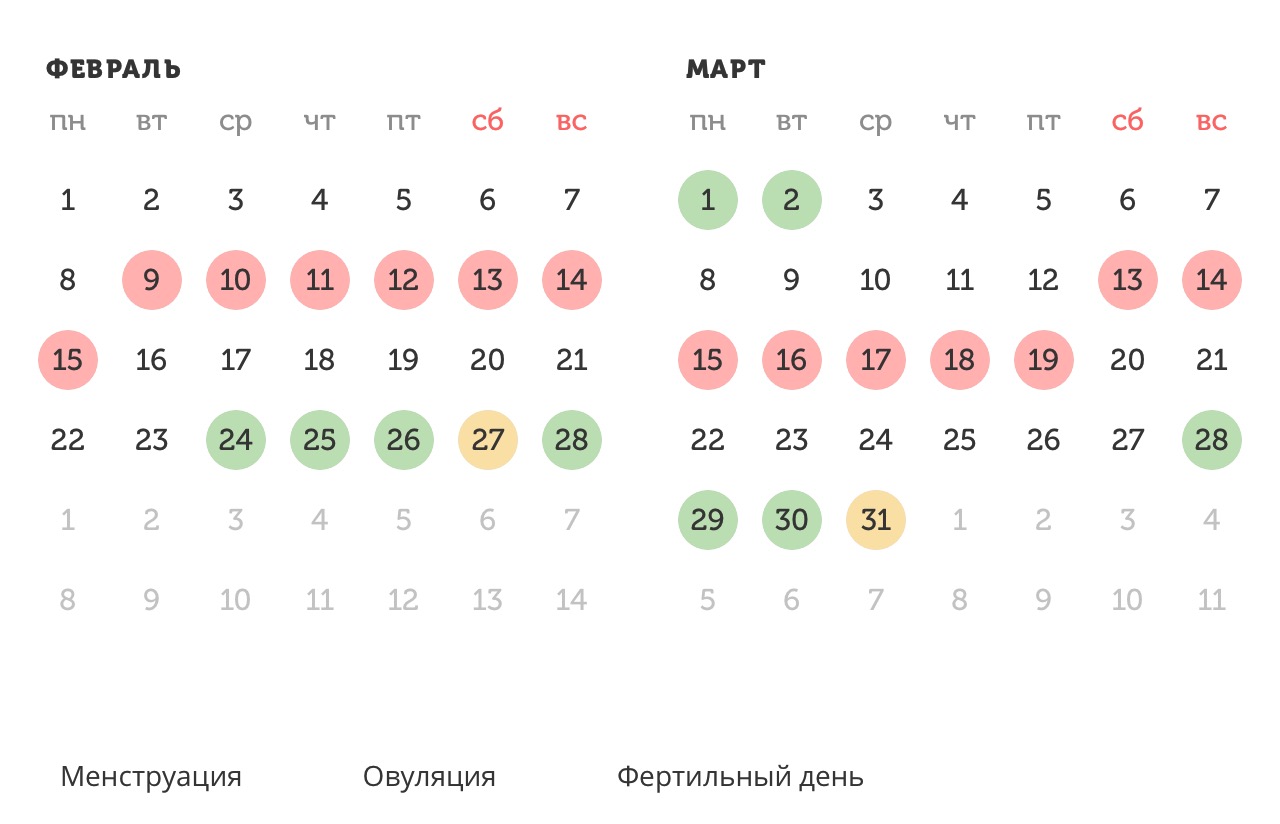 Калькулятор овуляции