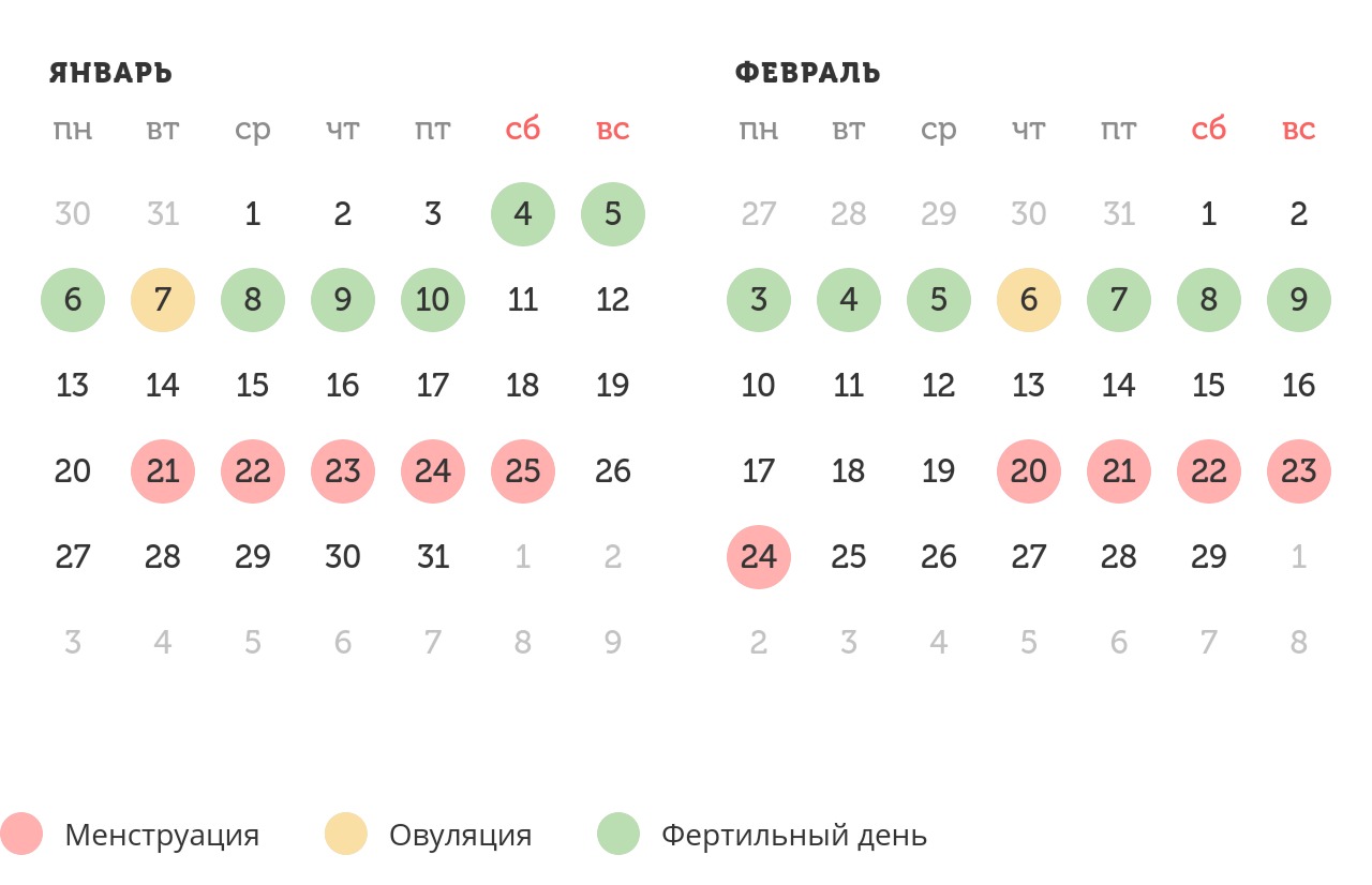 Калькулятор овуляции