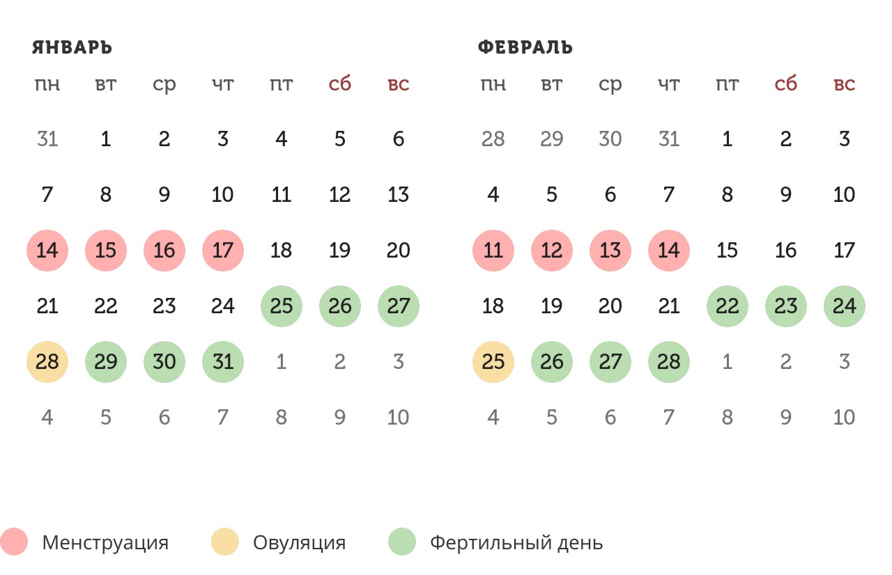 Калькулятор овуляции