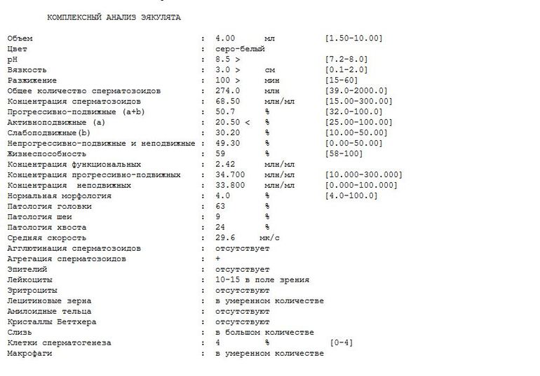 965ddc8ef732815a9a6c26b579c3be39.jpg