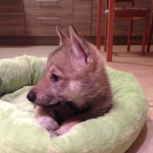 Вот мы и дома :)