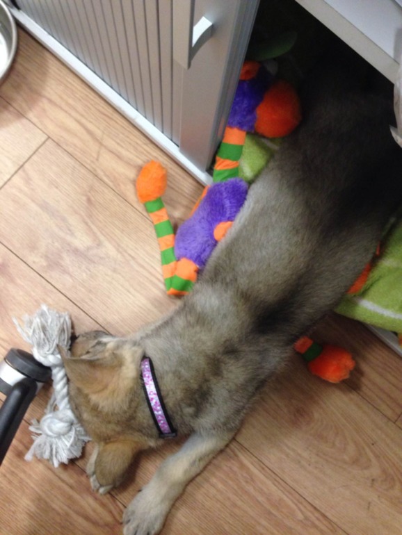 Немного телефонофото