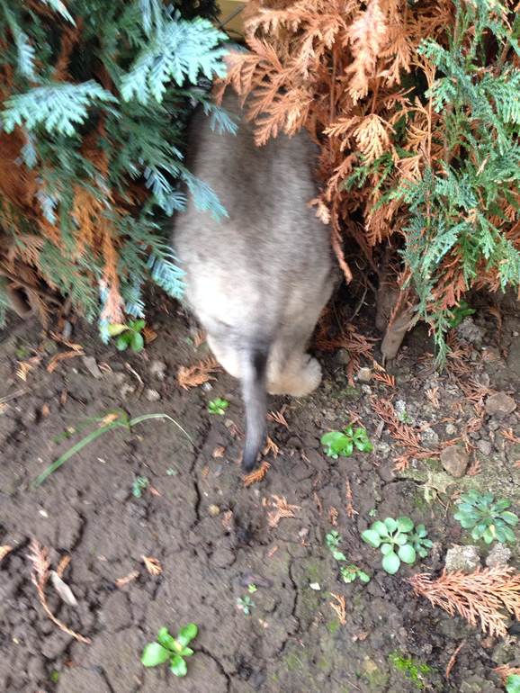 Первая заначка