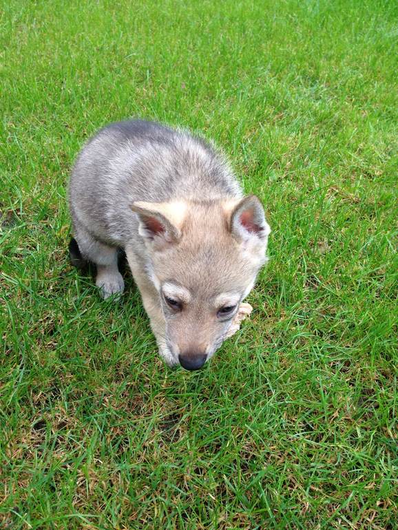 Первая заначка