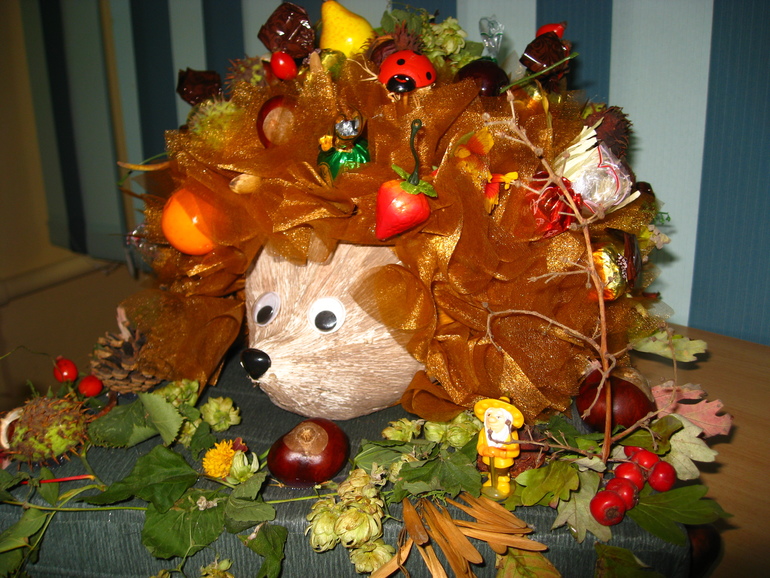 наш осенний ежик