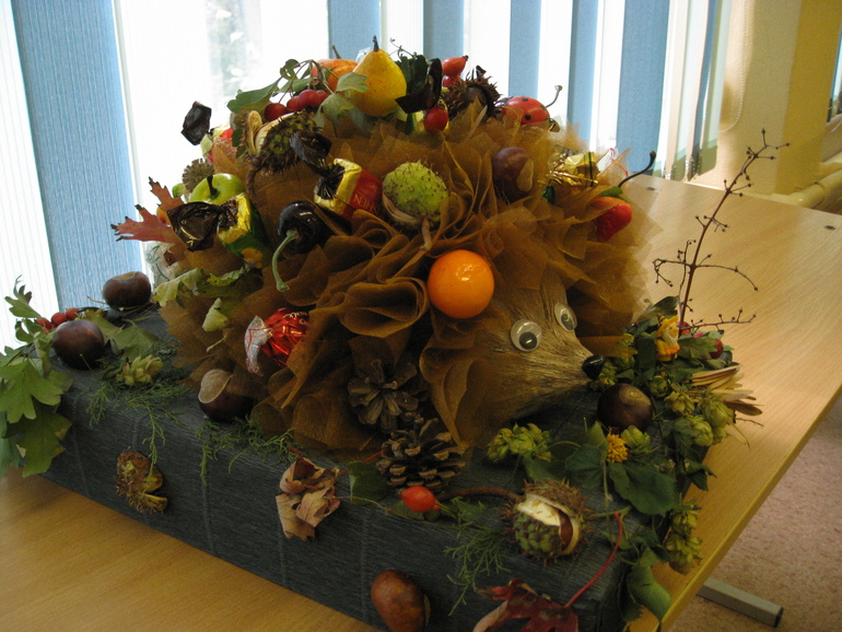 наш осенний ежик