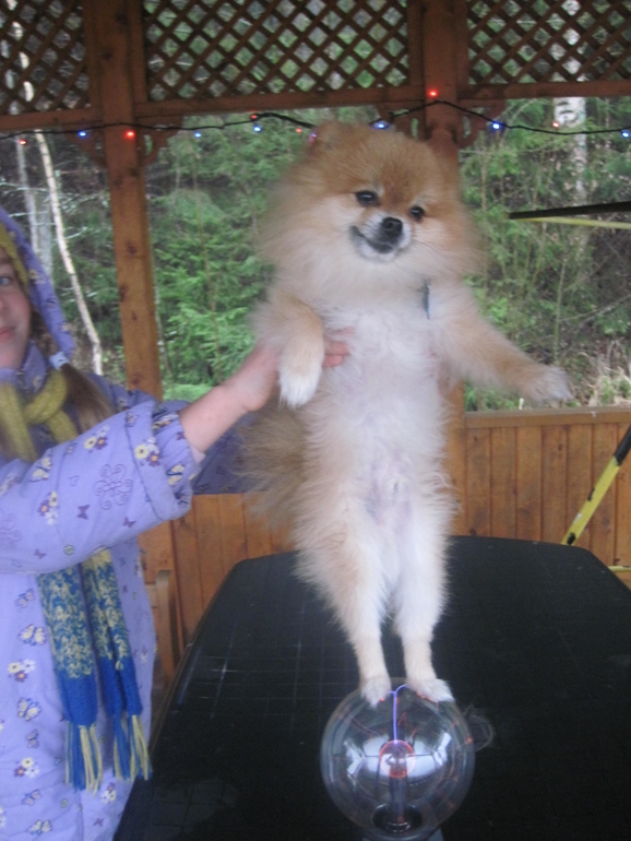 эсперементы по физике с Афами и не только!