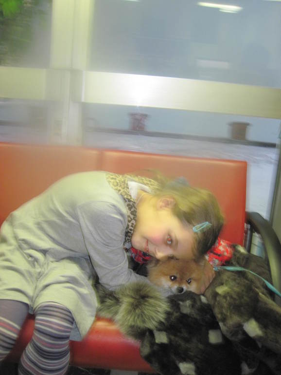 Запиши свое животное в спорт секцию!