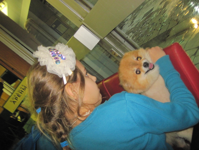 Чем больше я узнавал собак, тем больше привязывался к людям!