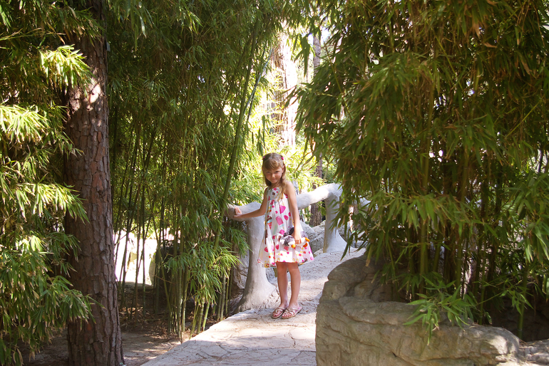 Турция, август-сентябрь 2013 г.