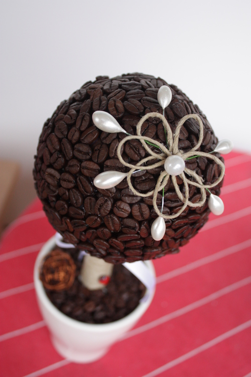 Кофейное дерево для Леночки