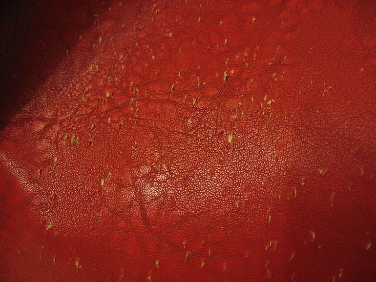 Помогите советом