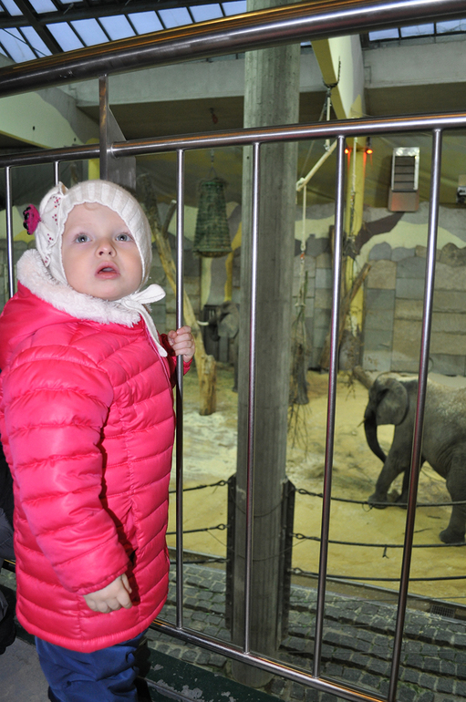 Вена... волшебная Вена!