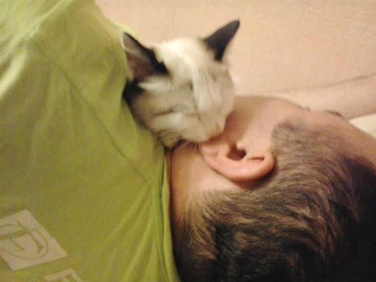 Про нашу любимку.