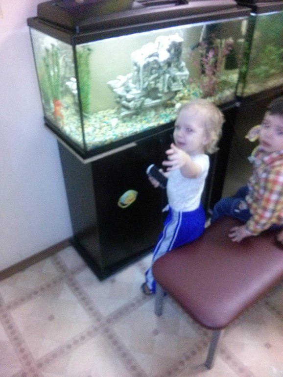 Вот и Леша осоциалился))