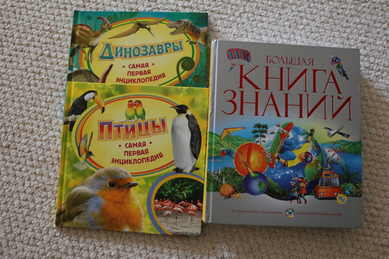 Наша география и мир животных