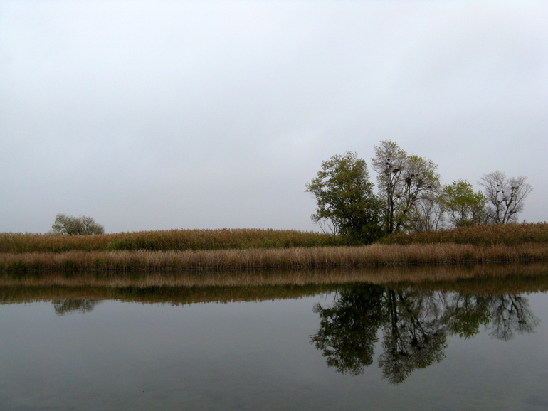 Контрольное задание №7. Корректируем фотографию при помощи кривых
