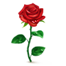 136463d69b10b0bd0fdc5b36edff9197.png