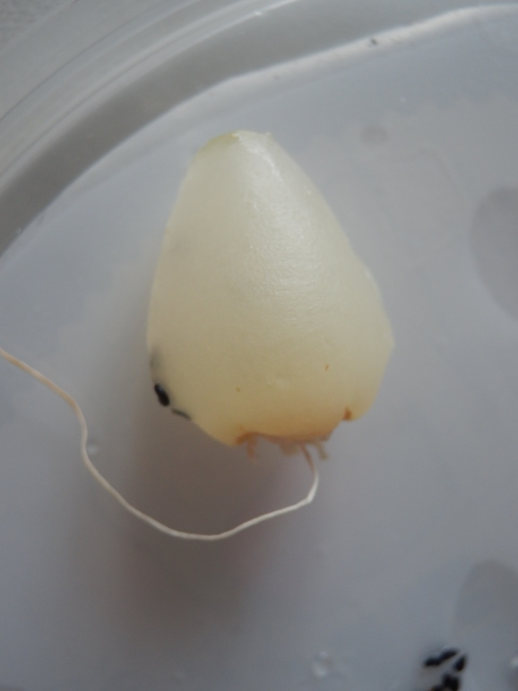 Немного осеннего.