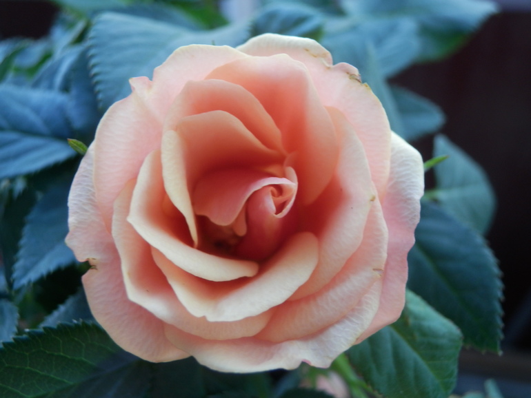 Итоги лета. Некоторые из моих любимчиков.