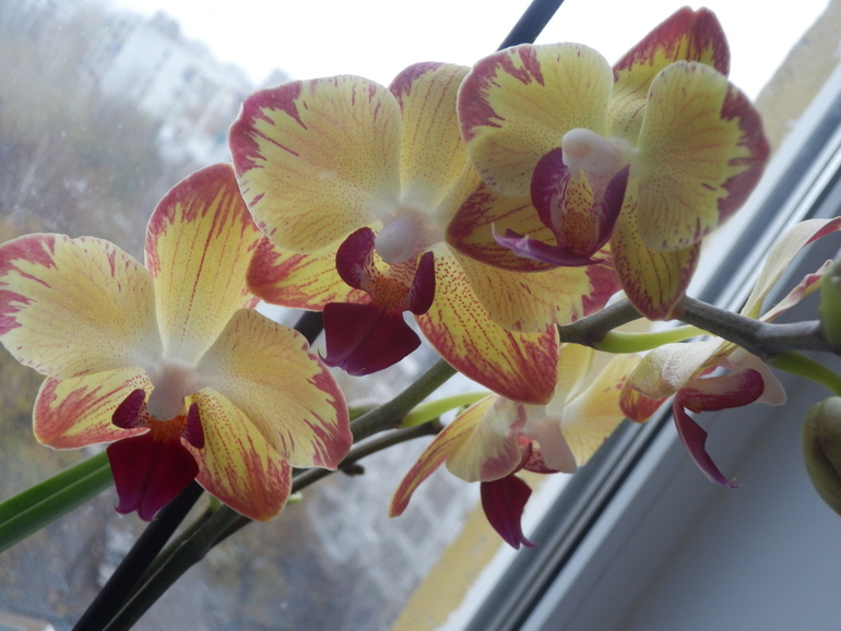 Немного осеннего.