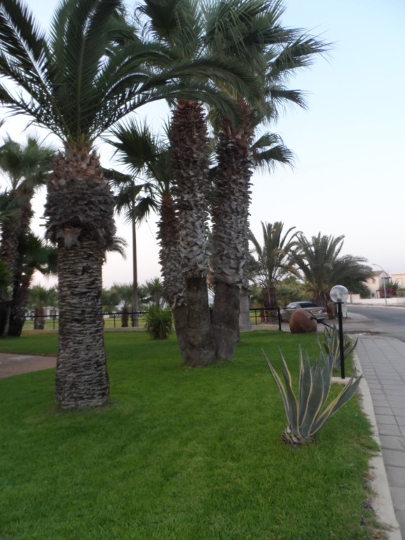 Кипр Протарас. Отель Цокос Гарденс 4