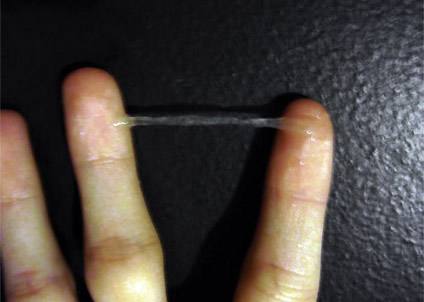 Интересная статья - Овуляция в картинках...