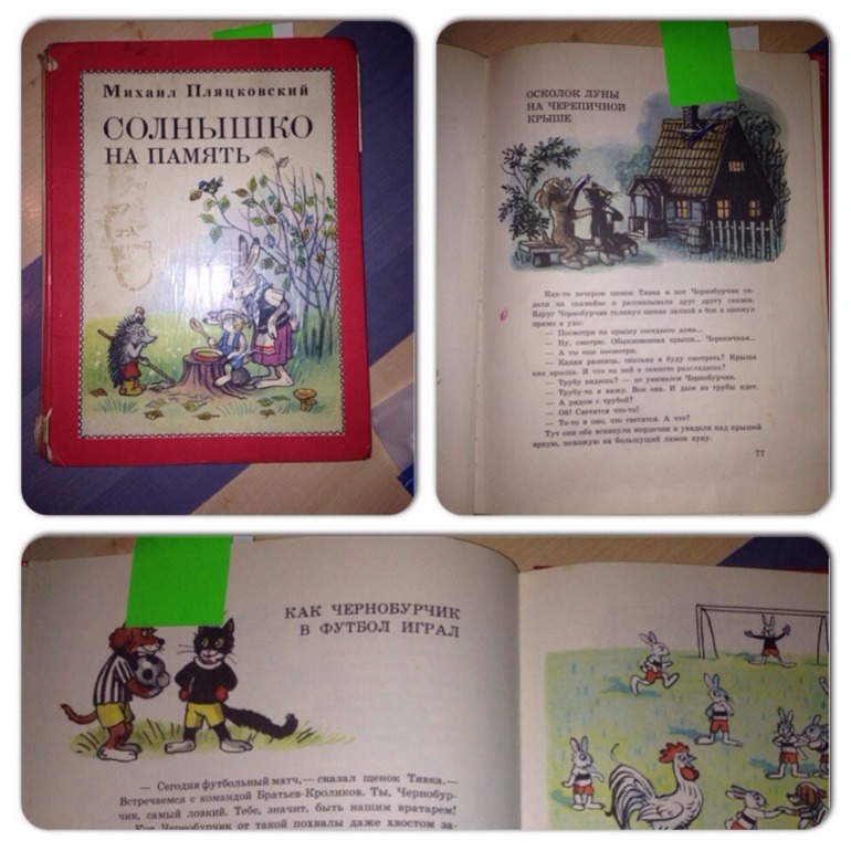 Наша первая Тематическая неделя "Домашние животные" (часть 1)