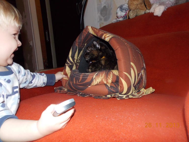 Наша первая Тематическая неделя "Домашние животные" (часть 1)