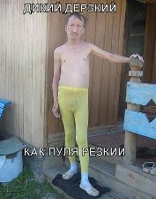 0ad107c670a139718d3048917f37b9d7.jpg
