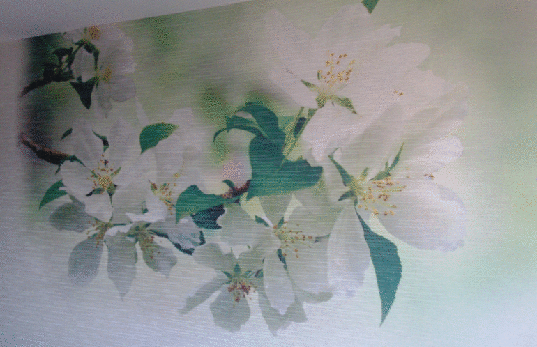 Помогите с цветом столешницы для кухни!!!!