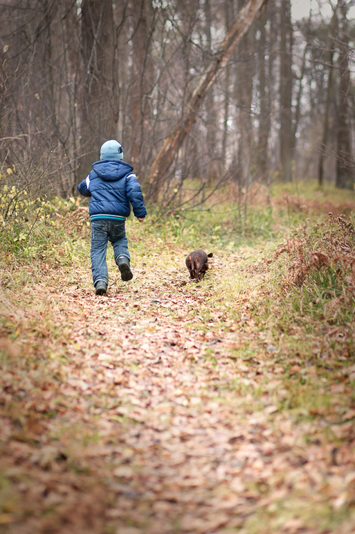 По лесным тропинкам...