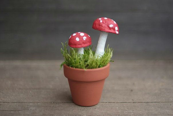 ИЗ СКОРЛУПЫ ГРЕЦКОГО ОРЕХА