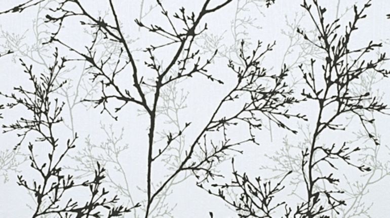 Ч/б комната