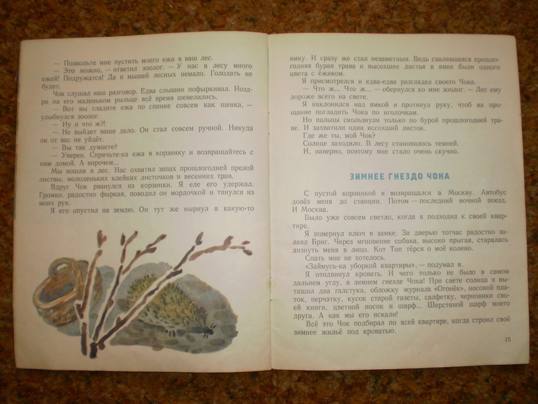 Осенние ежики