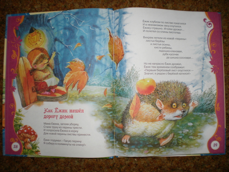 Осенние ежики