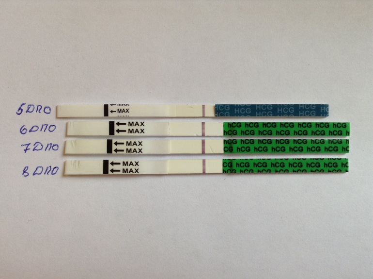 5 дпо тест на беременность фото