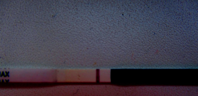 Ну вот и я становлюсь в тестоманкой!