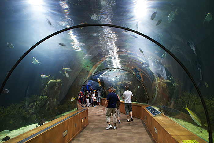 ИЗРАИЛЬ. Эйлат. Istotel Yam Suf 4*