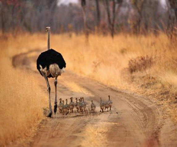 Не легка мамина доля...