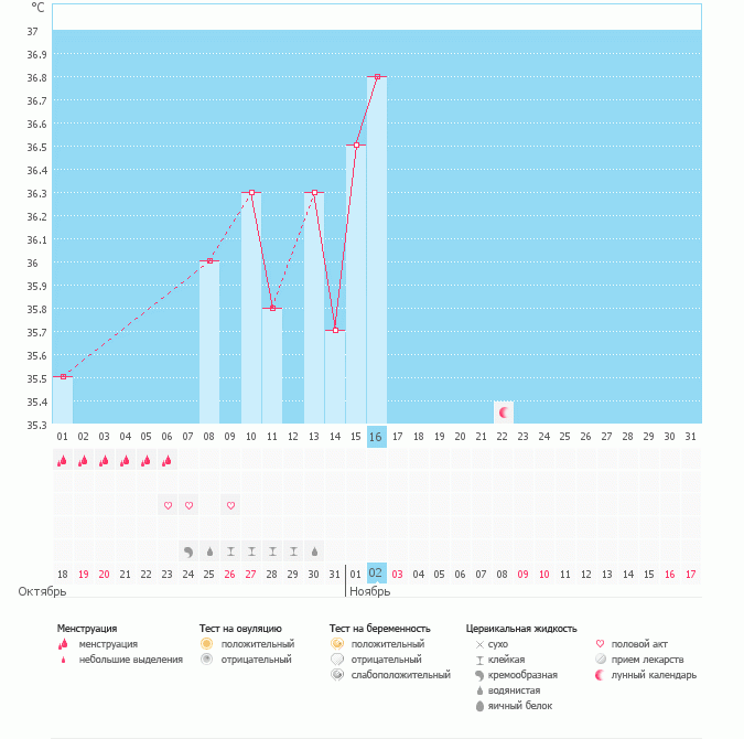 скажите когда была овуляция и возможна ли беременность