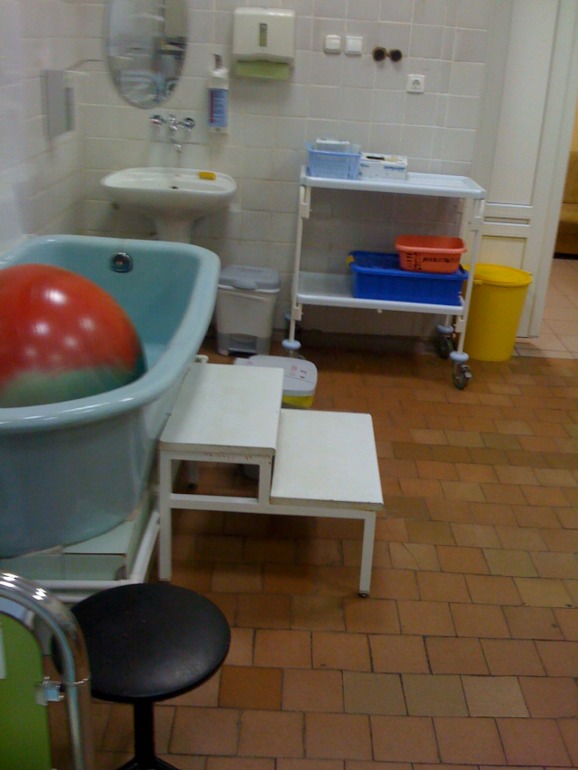 МОИ ПЕРВЫЕ РОДЫ