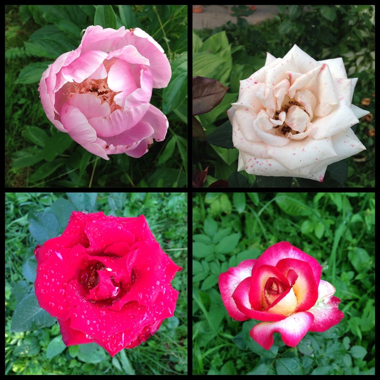 Чем порадовало 2013 лето:))