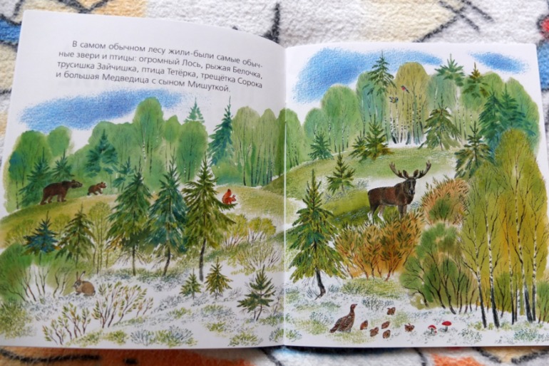 Наши медведи =)