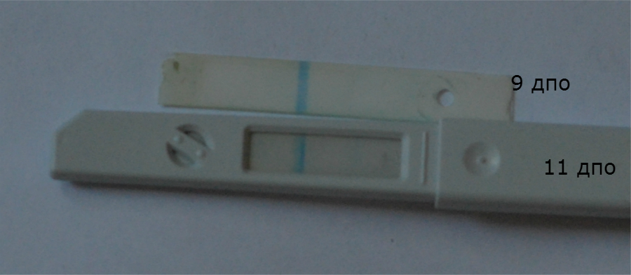 67a2ed9ddcc415ce2311a6c85362b244.jpg