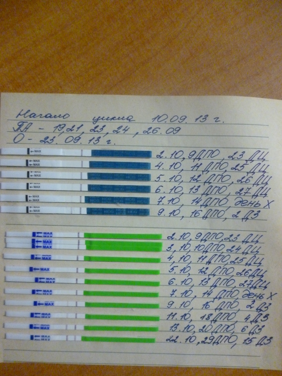 15 ДЗ или 29 ДПО