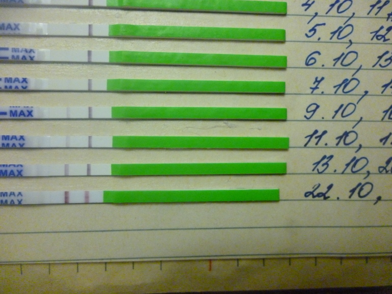 15 ДЗ и 29 ДПО